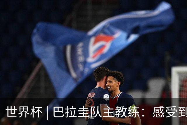 世界杯 | 巴拉圭队主教练：感受到比赛的极致压力