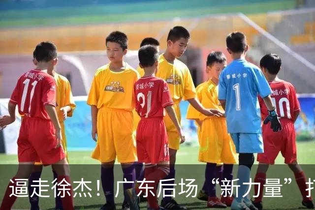 逼走徐杰！广东后场“新力量”打成大腿，杜锋为他放弃控卫外援！